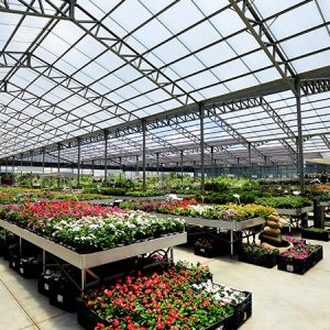 3-SUNTUF_Plus_Greenhouse_Yarok_Ramat_hasharon_Israel-26