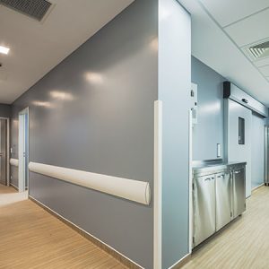 Hero_2_PALCLAD_Pro_Wall_Cladding_Hospital_Greece_775x450px