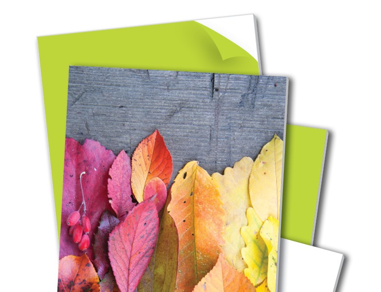 PALIGHT_Print_Pallete